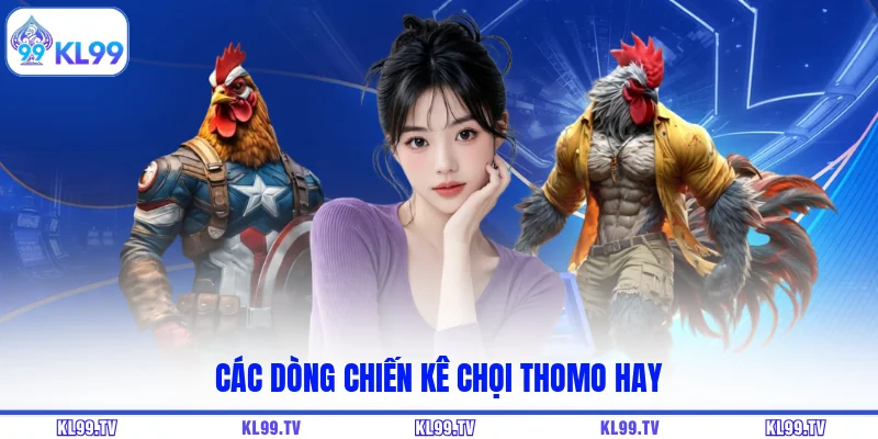 Các dòng chiến kê chọi Thomo hay