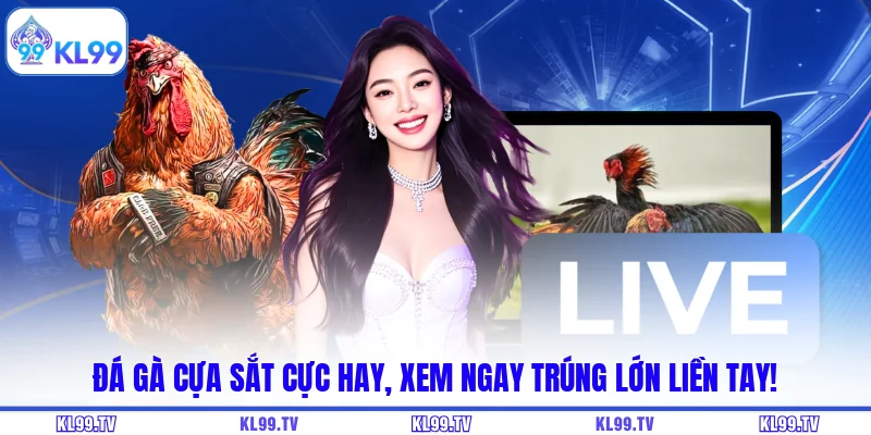 Đá Gà Cựa Sắt Cực Hay, Xem Ngay Trúng Lớn Liền Tay!