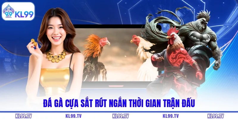 Đá gà cựa sắt rút ngắn thời gian trận đấu