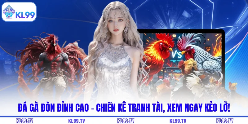 Đá Gà Đòn Đỉnh Cao – Chiến Kê Tranh Tài, Xem Ngay Kẻo Lỡ!