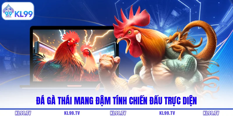 Đá gà Thái mang đậm tính chiến đấu trực diện