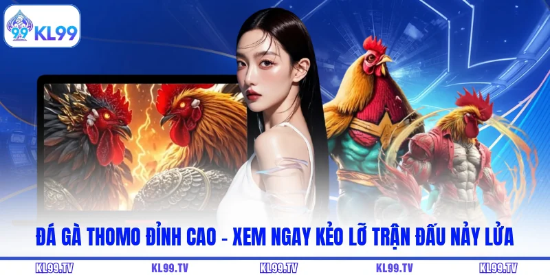 Đá Gà Thomo Đỉnh Cao – Xem Ngay Kẻo Lỡ Trận Đấu Nảy Lửa