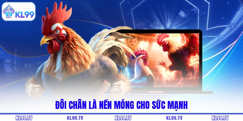 Đôi chân là nền móng cho sức mạnh