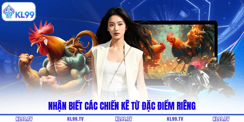 Nhận biết các chiến kê từ đặc điểm riêng