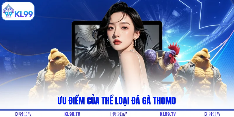 Ưu điểm của thể loại đá gà Thomo