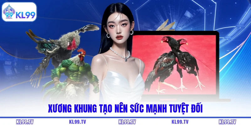 Xương khung tạo nên sức mạnh tuyệt đối